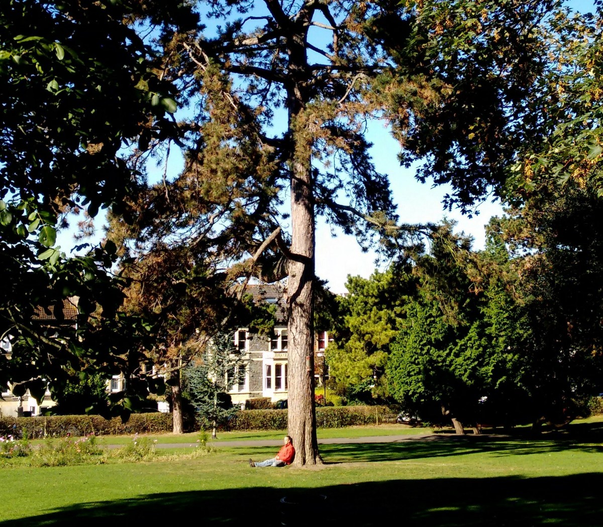 Green space and our&nbsp;health