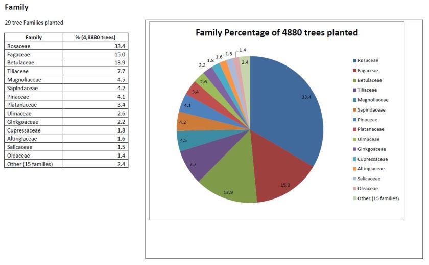 tree-planting-by-family