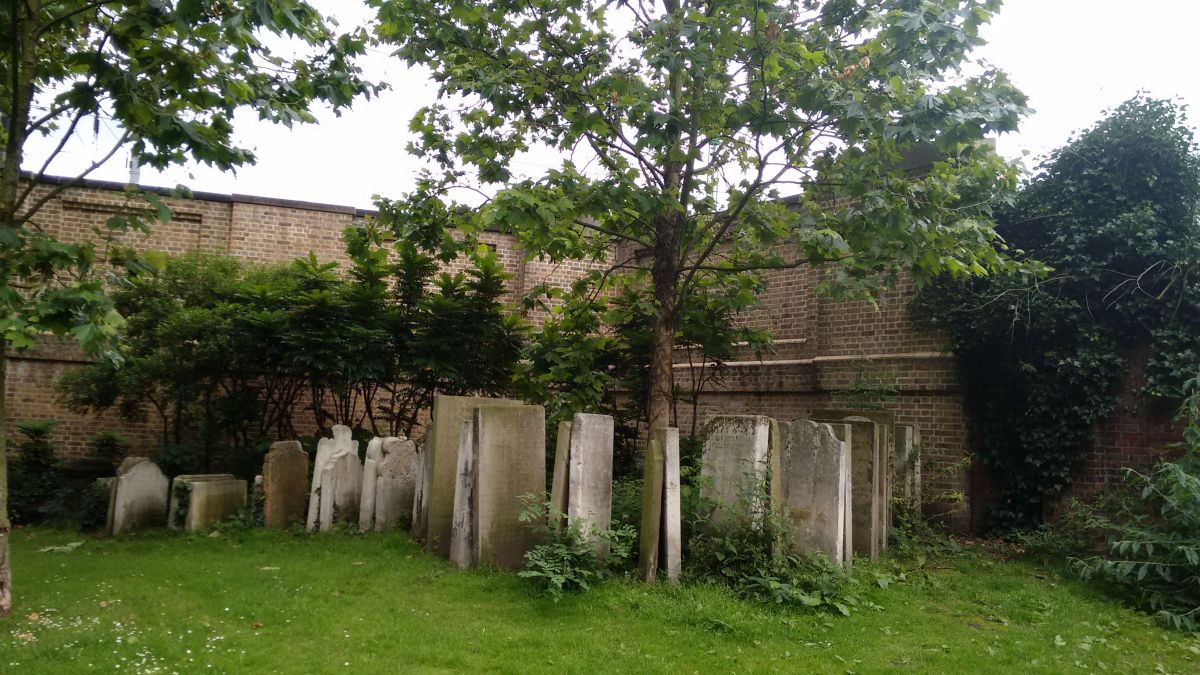 Crisis for the Bristol&nbsp;Environment