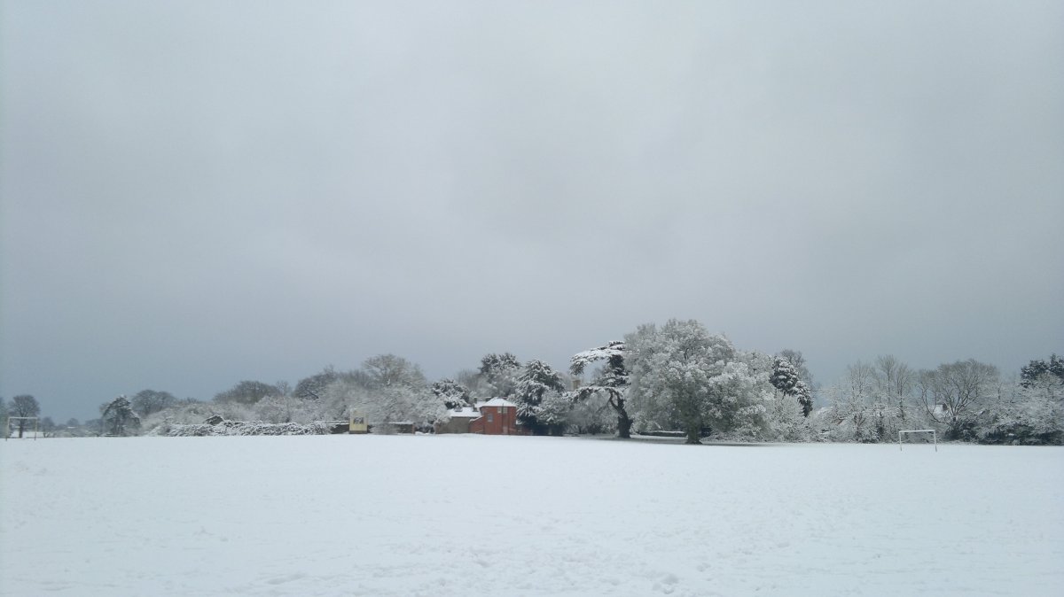 Council no longer manages trees on educational sites – Part&nbsp;II