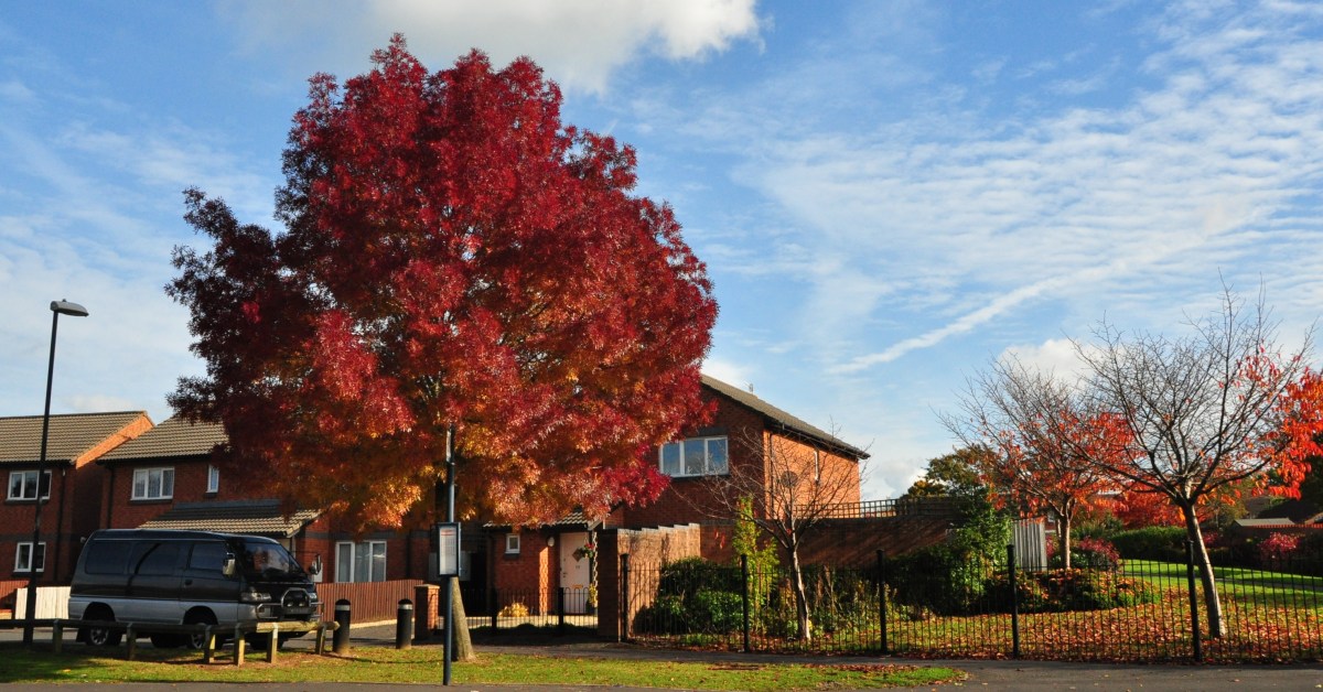 Consultation on proposed changes to NPPF and the National Model Design&nbsp;Code