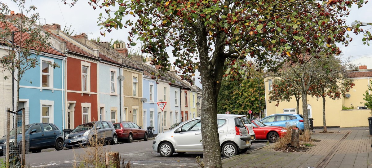 Congratulations BCC on its successful Defra Urban Tree Challenge Fund&nbsp;bid!