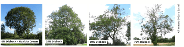 This image has an empty alt attribute; its file name is abd-picture.png