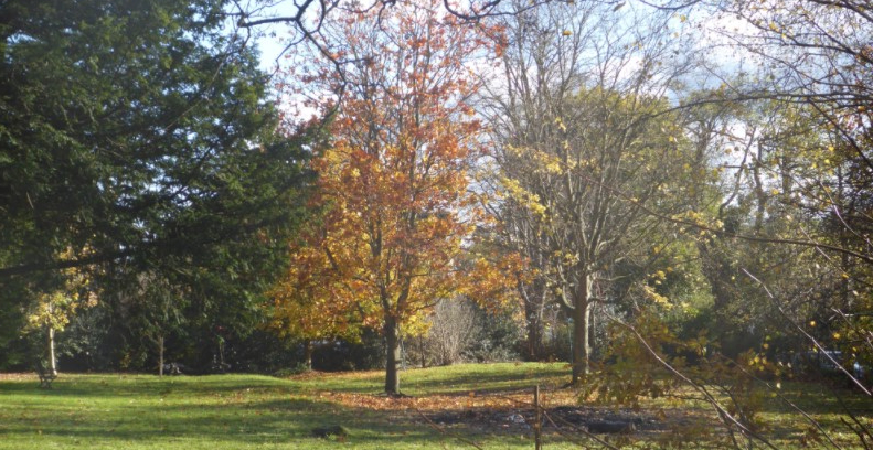 This image has an empty alt attribute; its file name is morley-sq_3a-e1607507285206.jpg