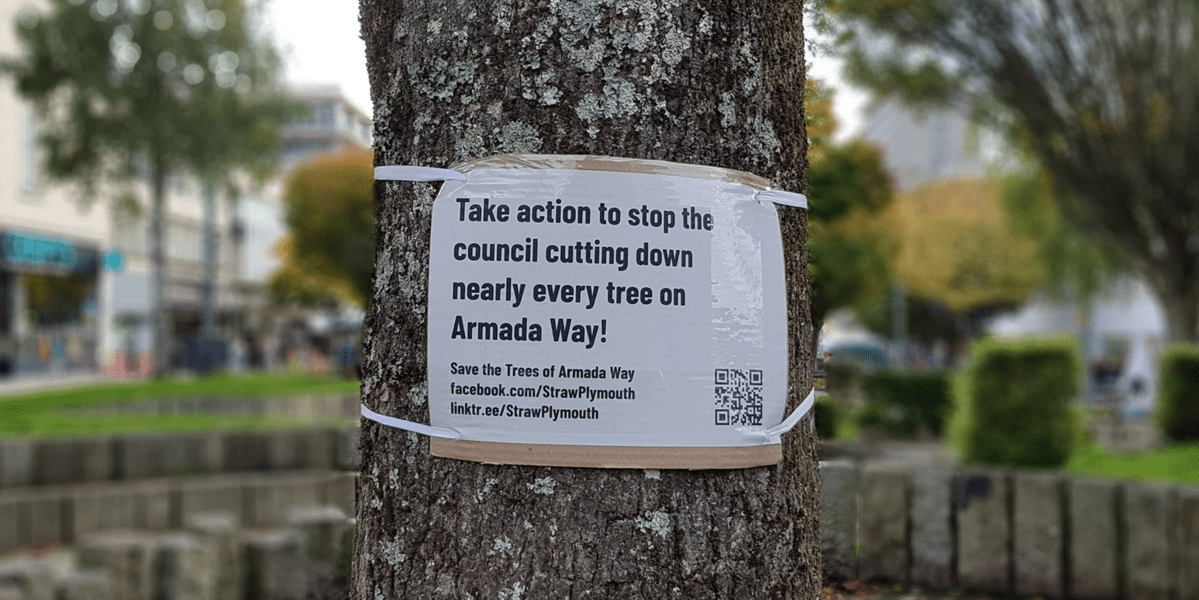 Analysing the Armada Way Biodiversity Net Gain&nbsp;Assessment