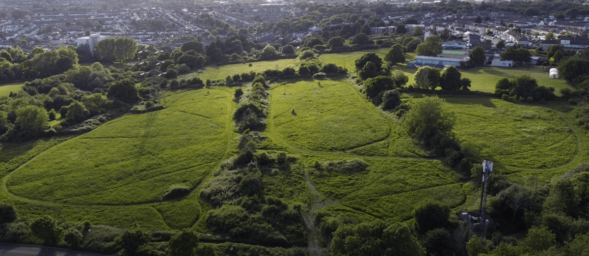 Farewell to the&nbsp;Meadows