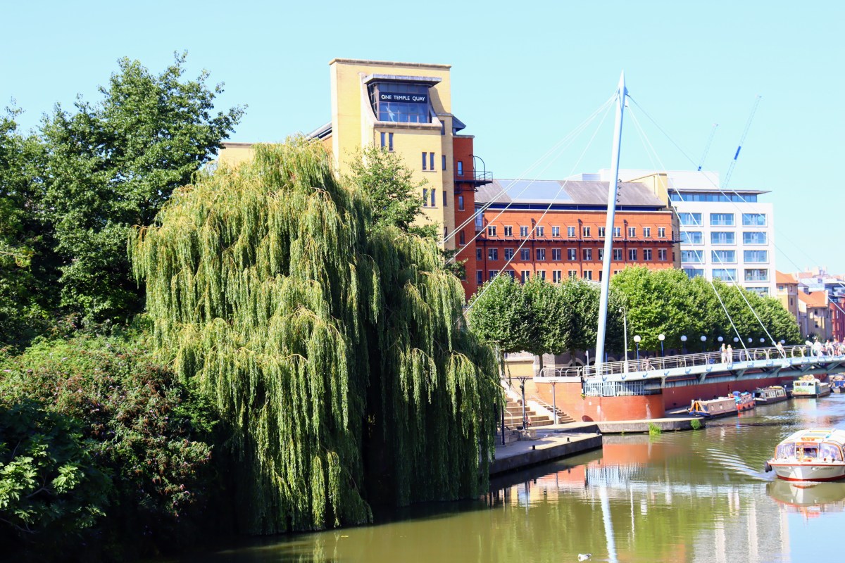 The Local Nature Recovery Strategy and Bristol: a&nbsp;reassessment
